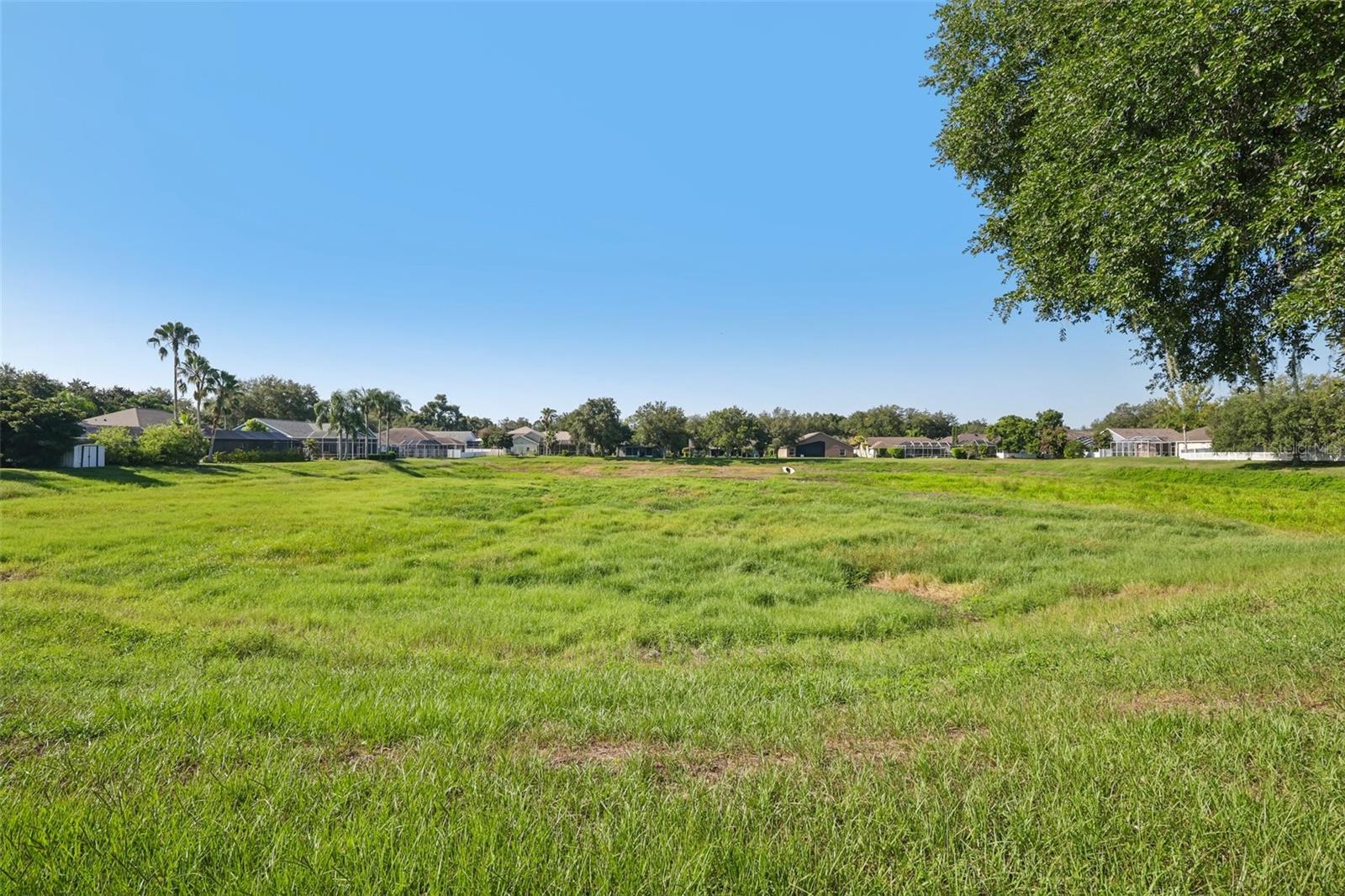 205 ROSANA DR — photo 38
