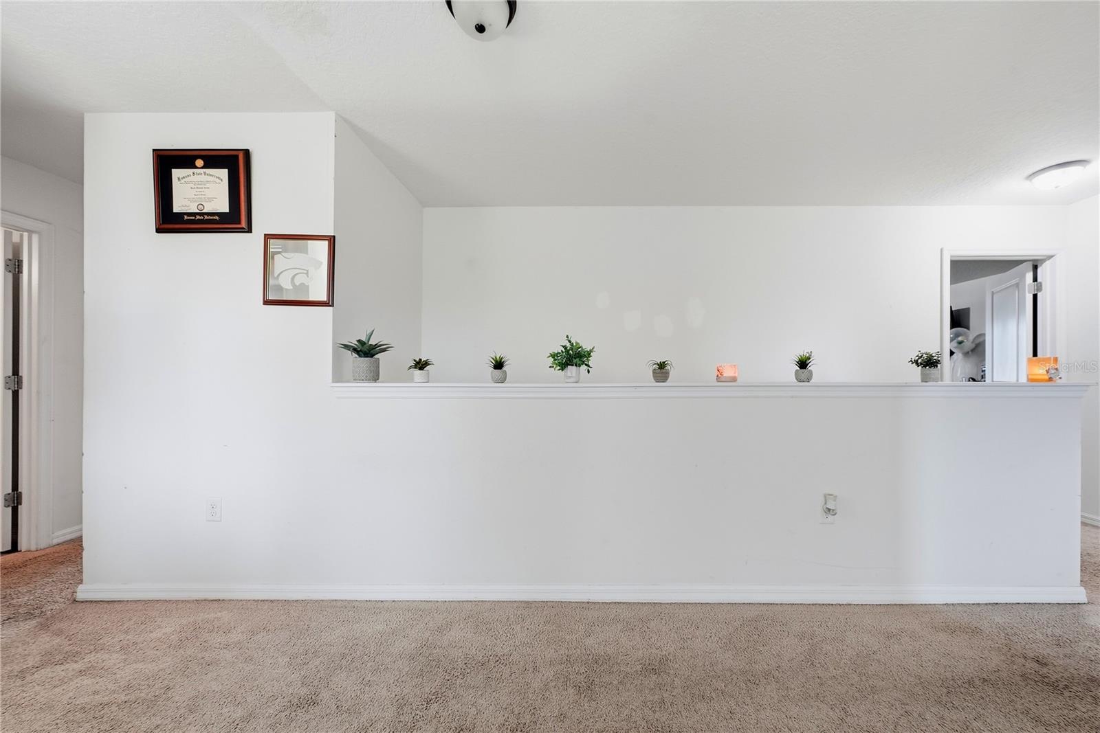 8128 HARWICH PORT LN — photo 20