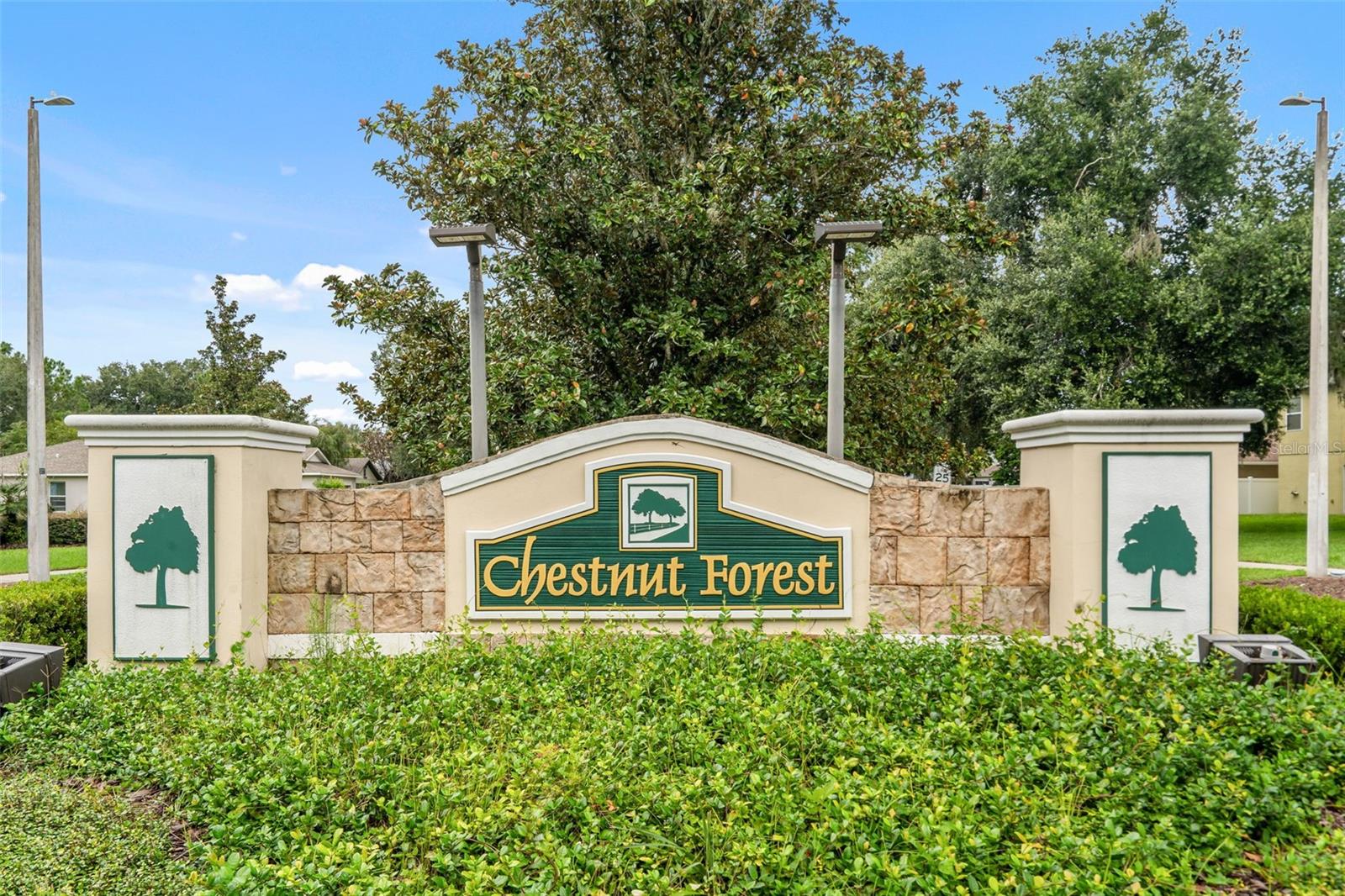 1610 MARSH WOOD DR — photo 39