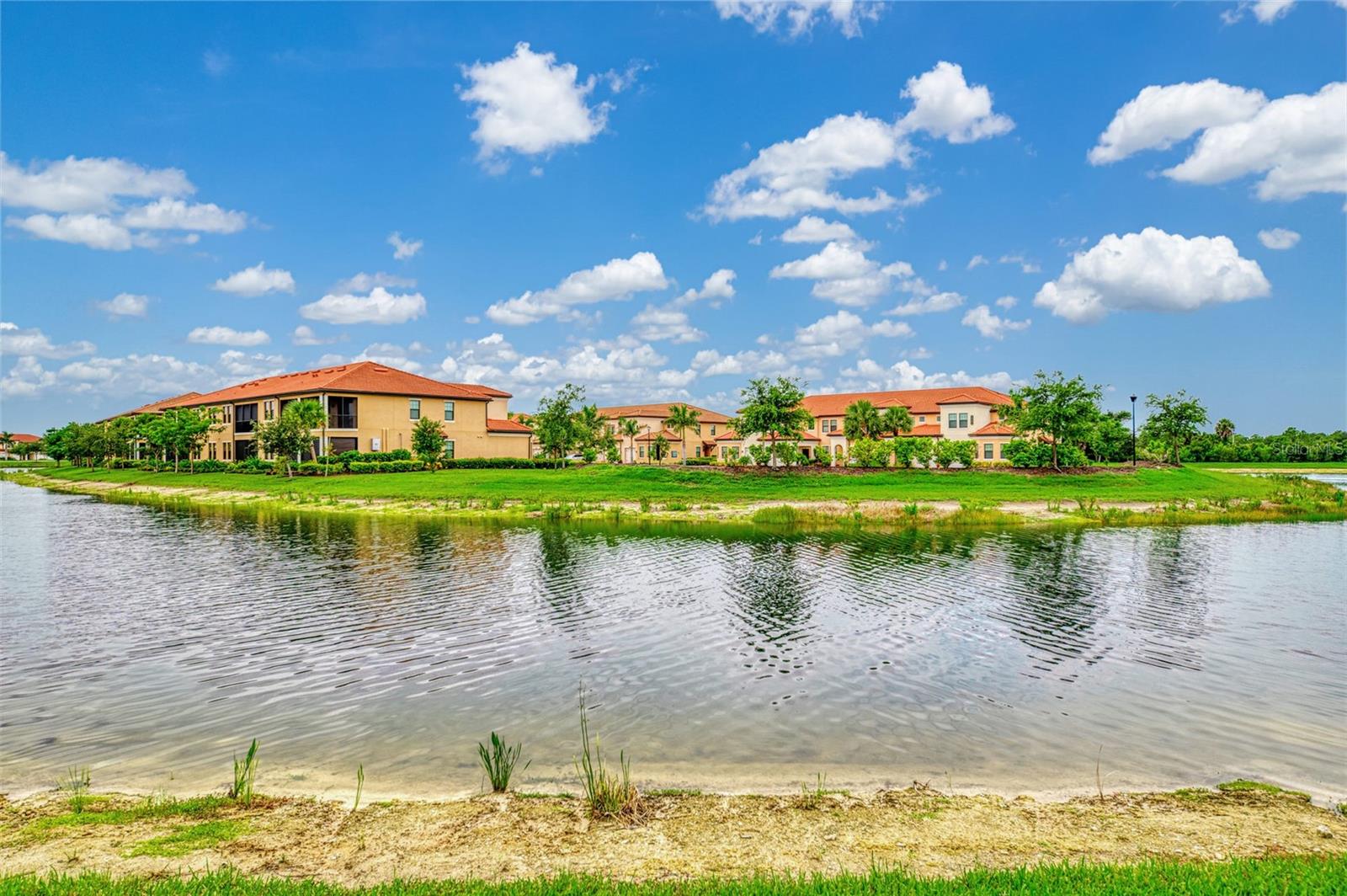 10065 COZY GROVE DR — photo 47