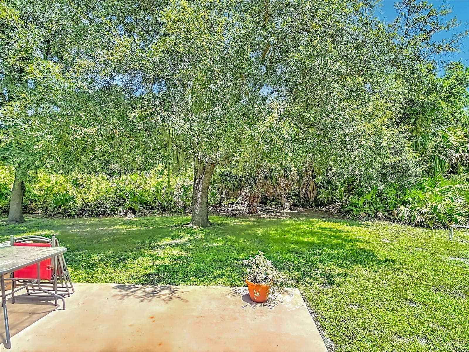 3344 PERICLES AVE — photo 41