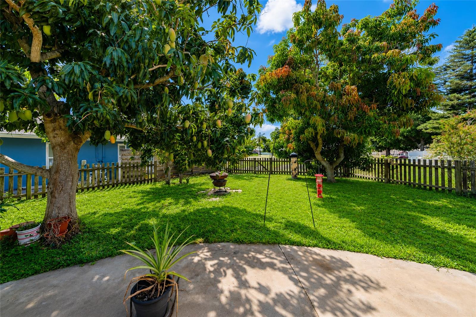 2405 ICECAPADE DR — photo 42