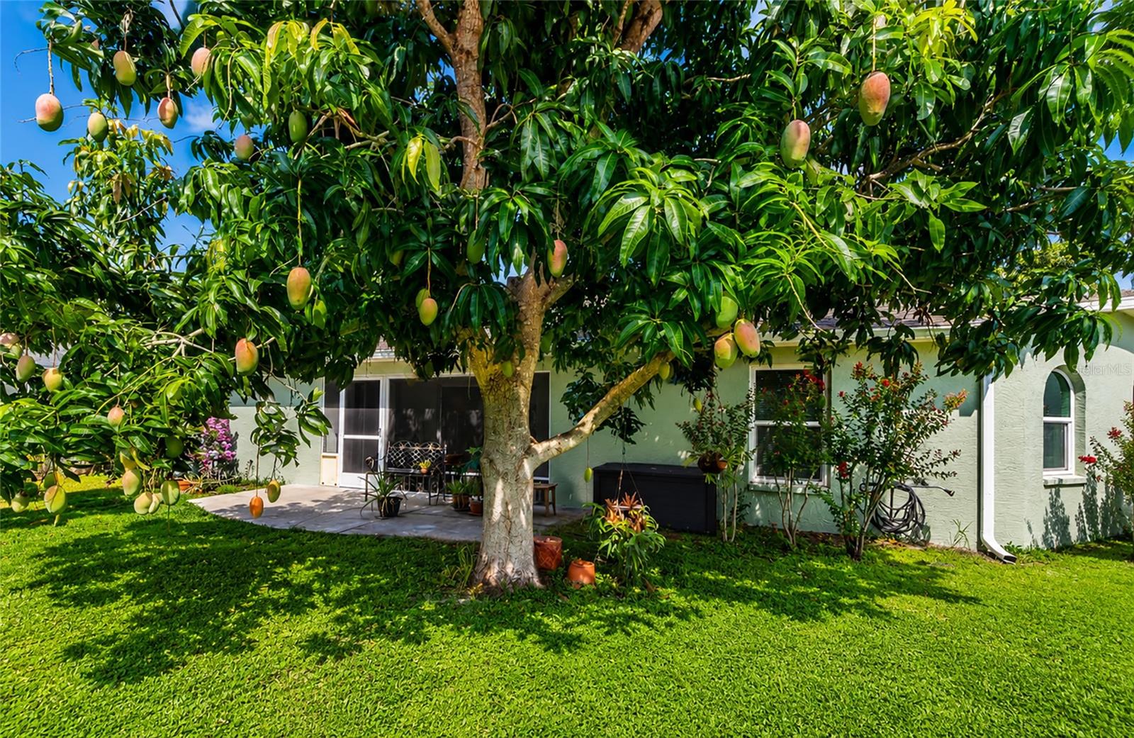 2405 ICECAPADE DR — photo 46