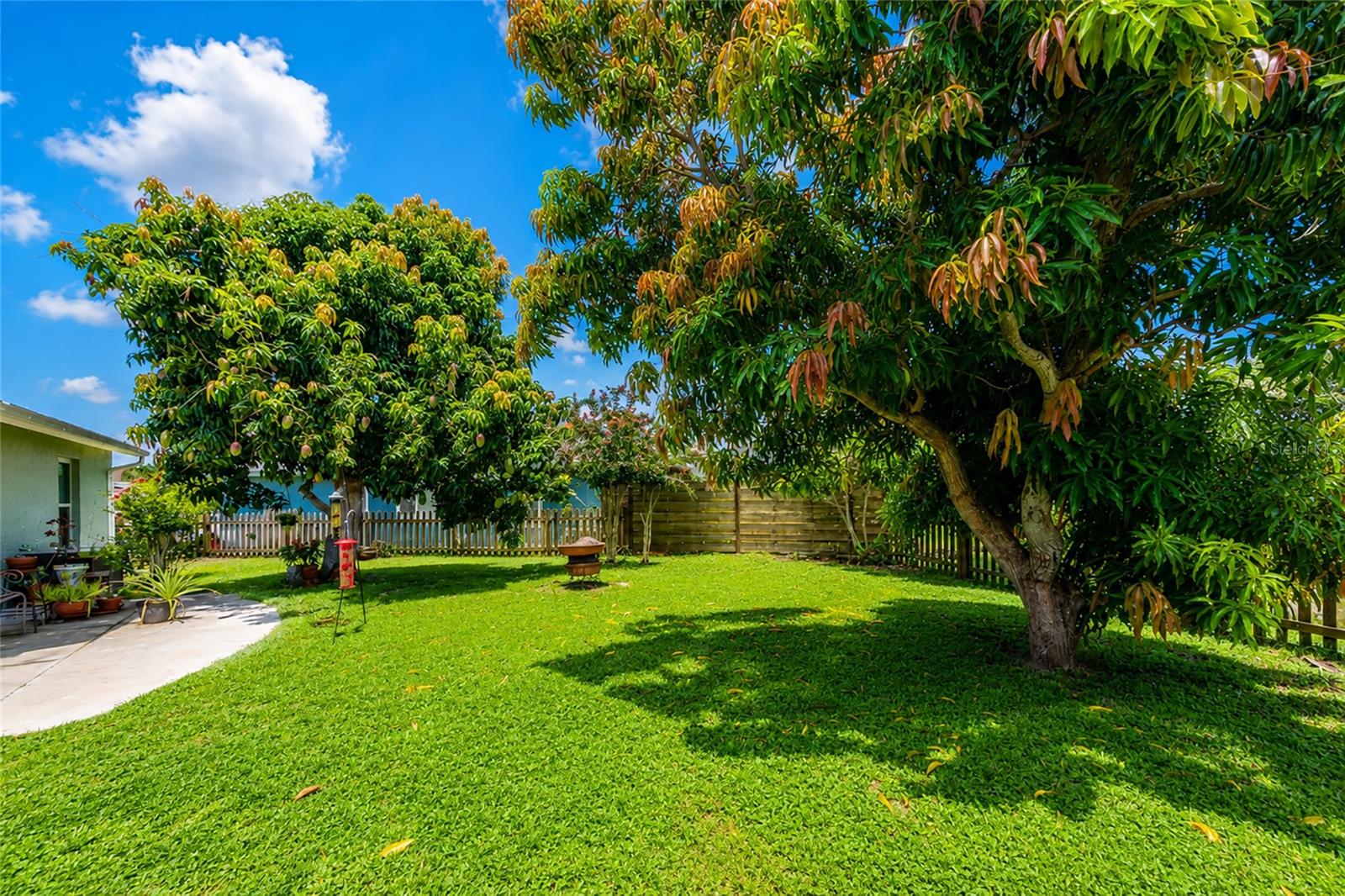 2405 ICECAPADE DR — photo 49