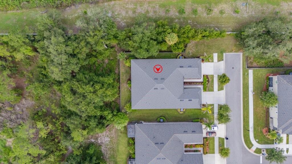 11505 CAMBIUM CROWN DR — photo 34
