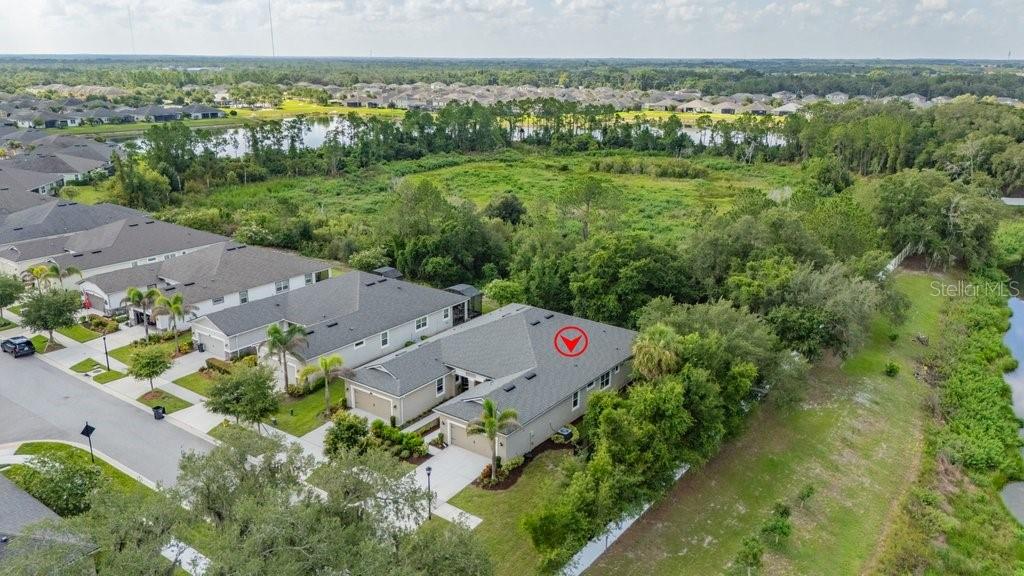 11505 CAMBIUM CROWN DR — photo 30