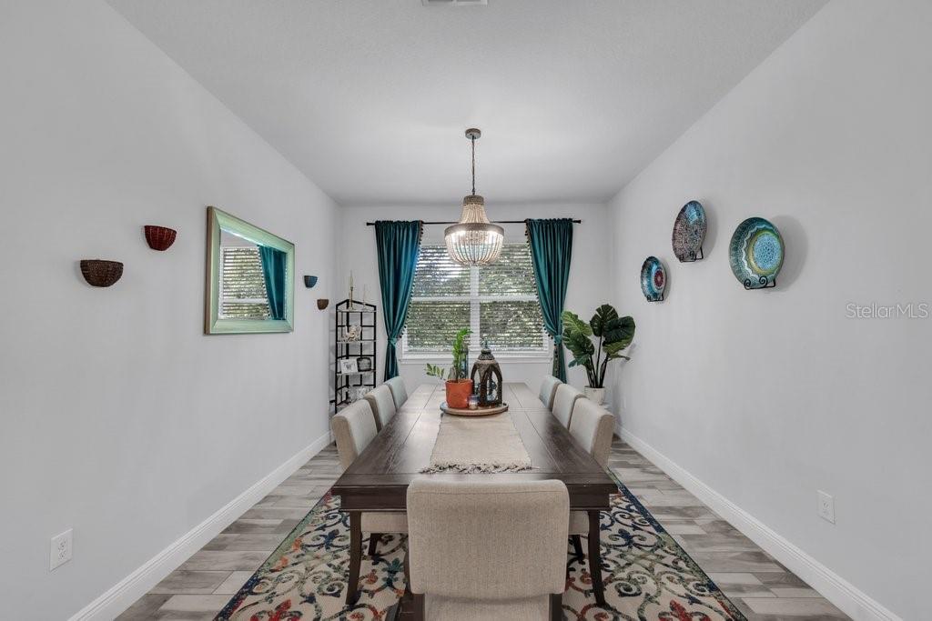 11505 CAMBIUM CROWN DR — photo 11