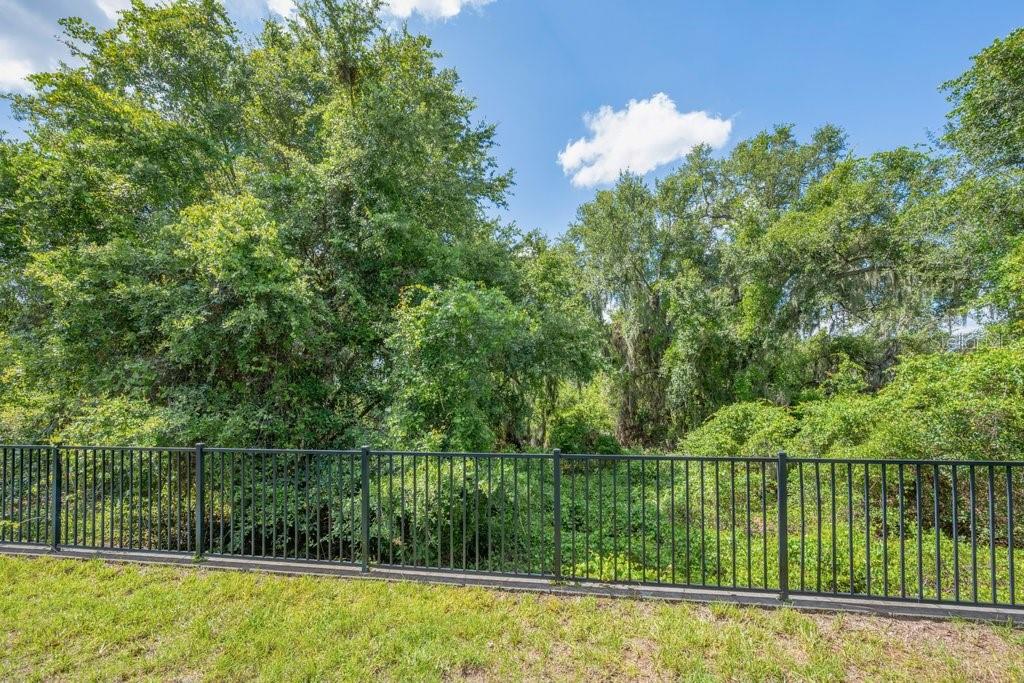 11505 CAMBIUM CROWN DR — photo 25