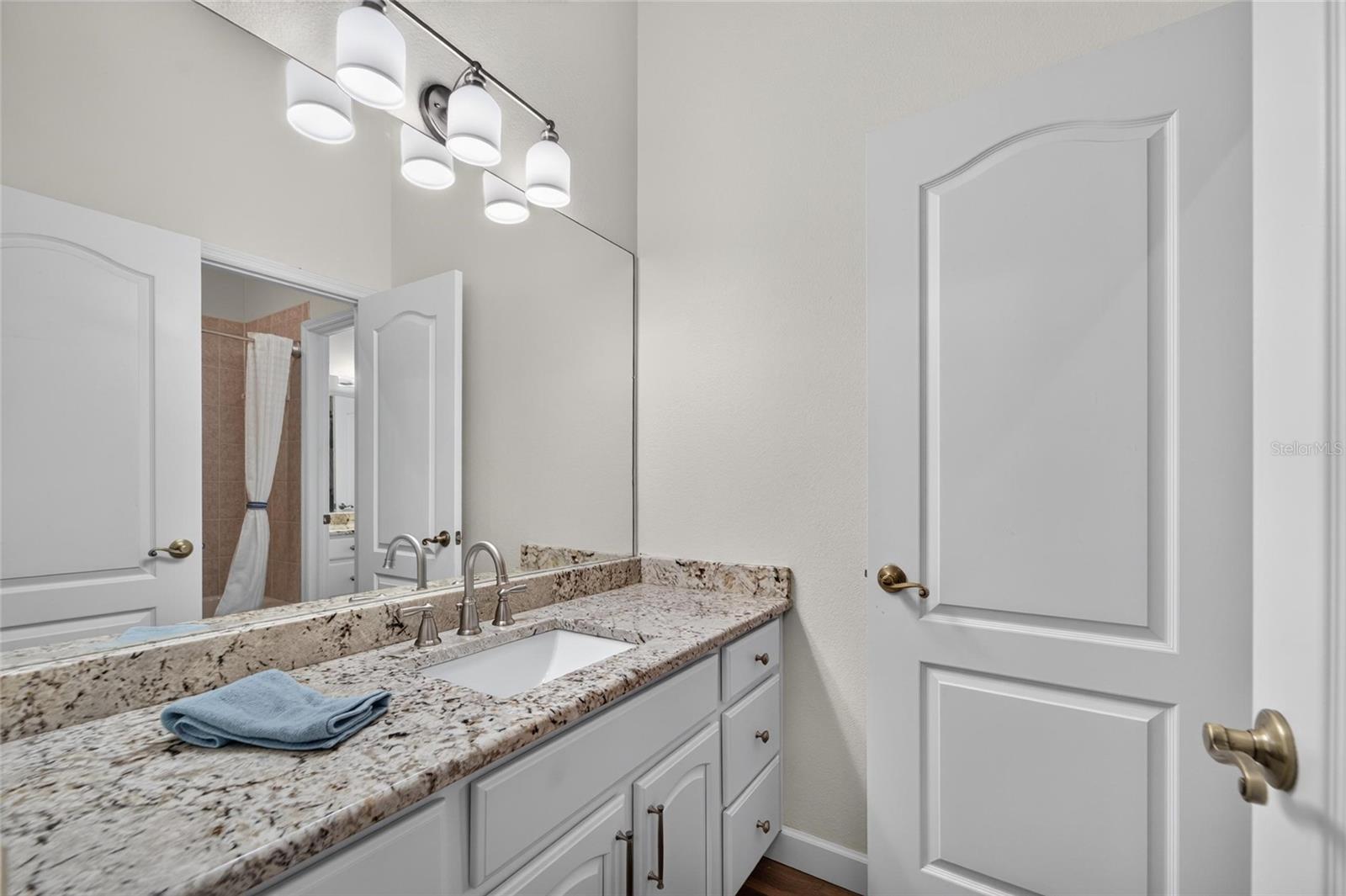 6203 MARBELLA BLVD — photo 67