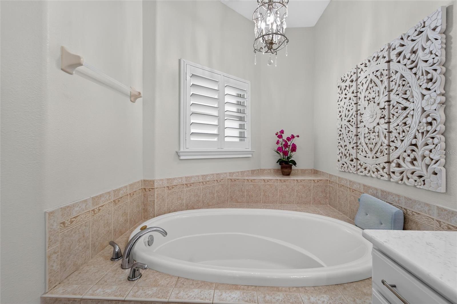 6203 MARBELLA BLVD — photo 50