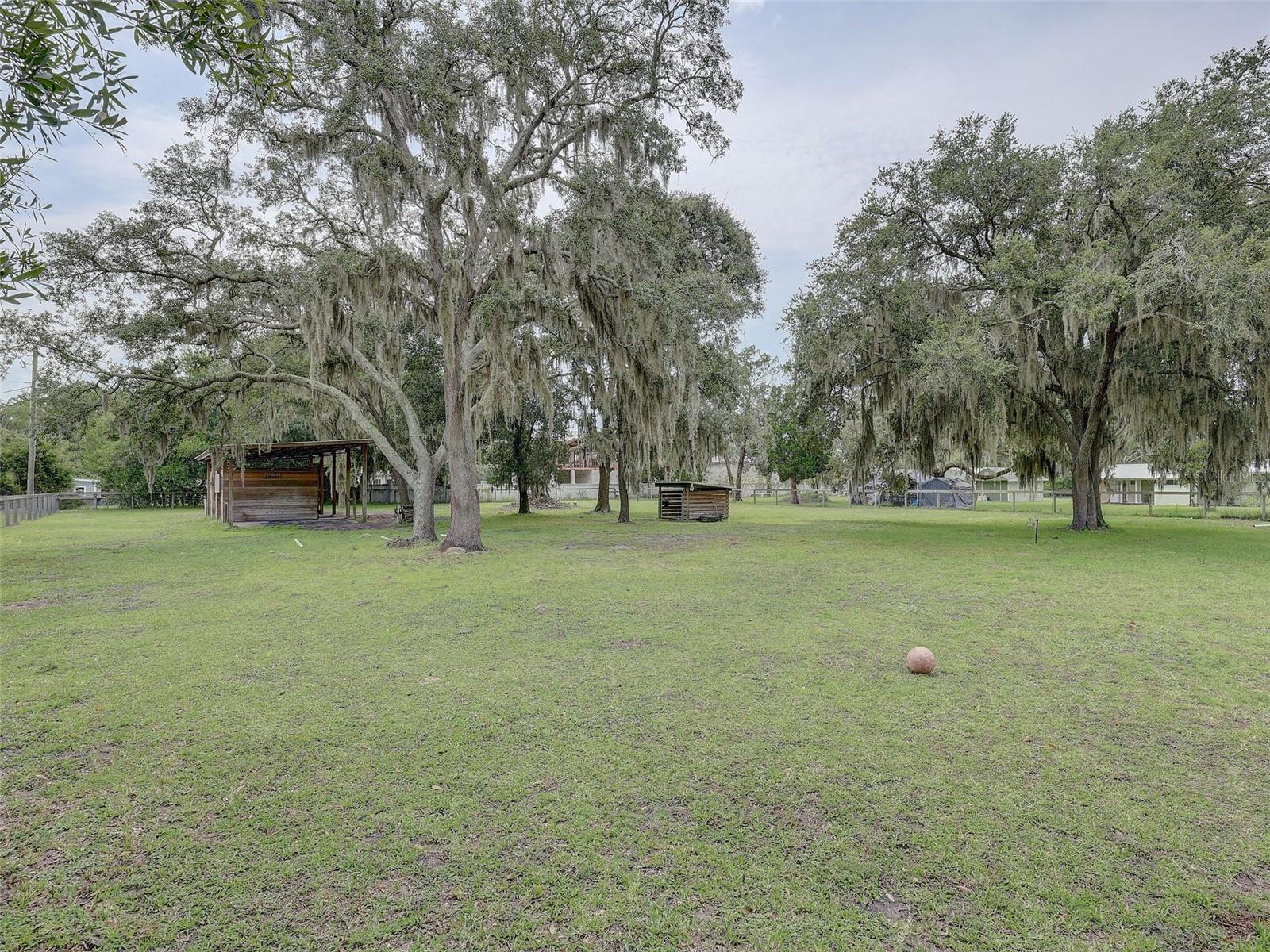 13102 GIBSON LN — photo 34