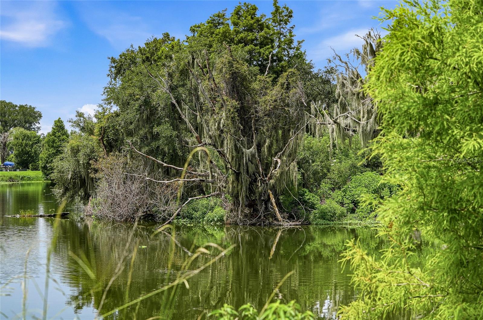 10710 OSPREY LANDING LOT 48 WAY — photo 36