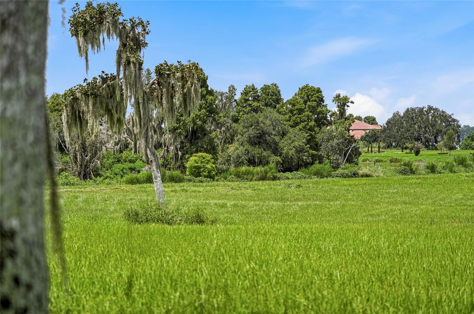 10710 OSPREY LANDING LOT 48 WAY — photo 34