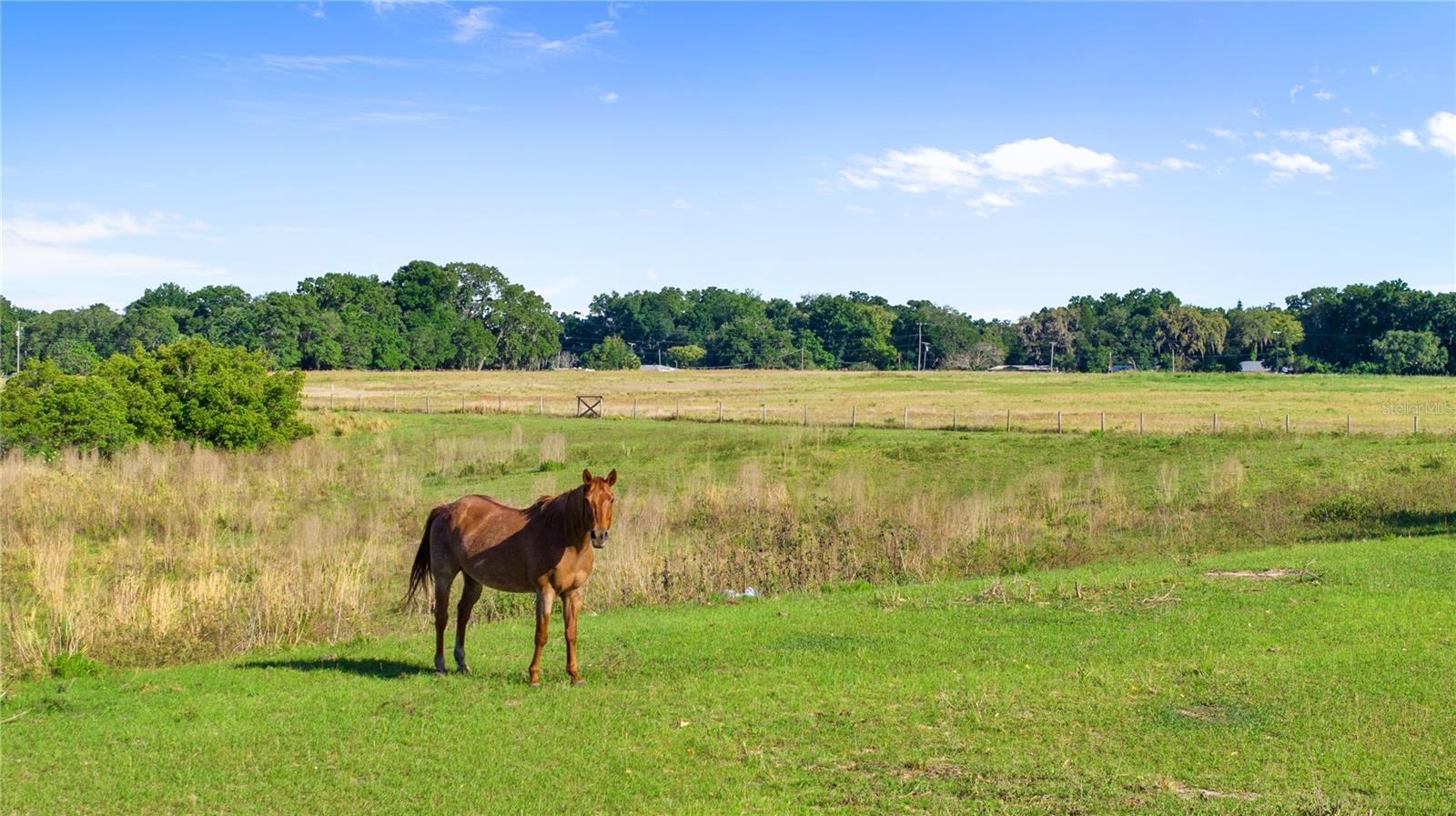 10710 OSPREY LANDING LOT 48 WAY — photo 61