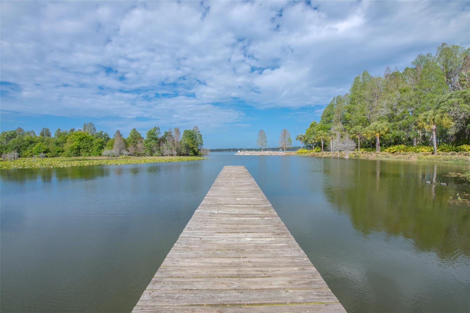 10710 OSPREY LANDING LOT 48 WAY — photo 66