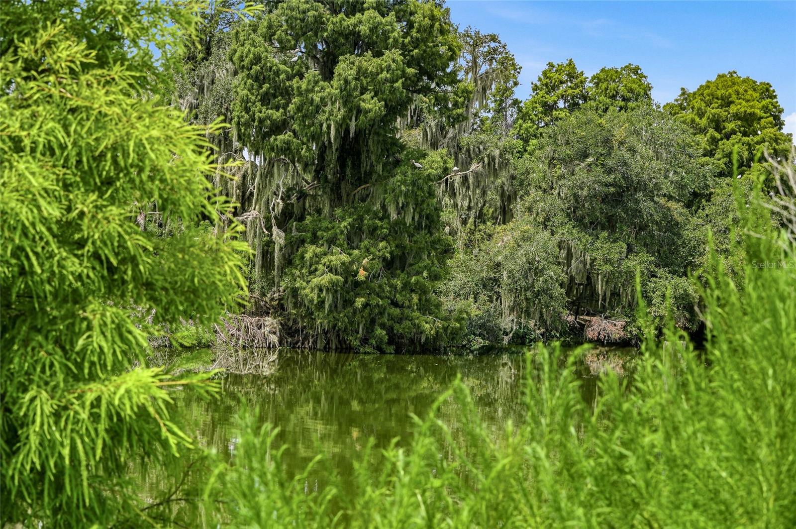 10710 OSPREY LANDING LOT 48 WAY — photo 35