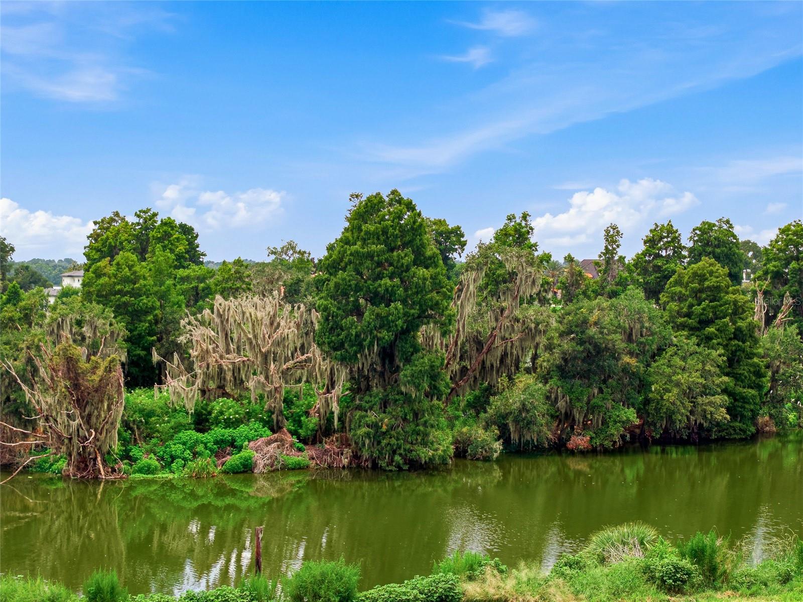 10710 OSPREY LANDING LOT 48 WAY — photo 53