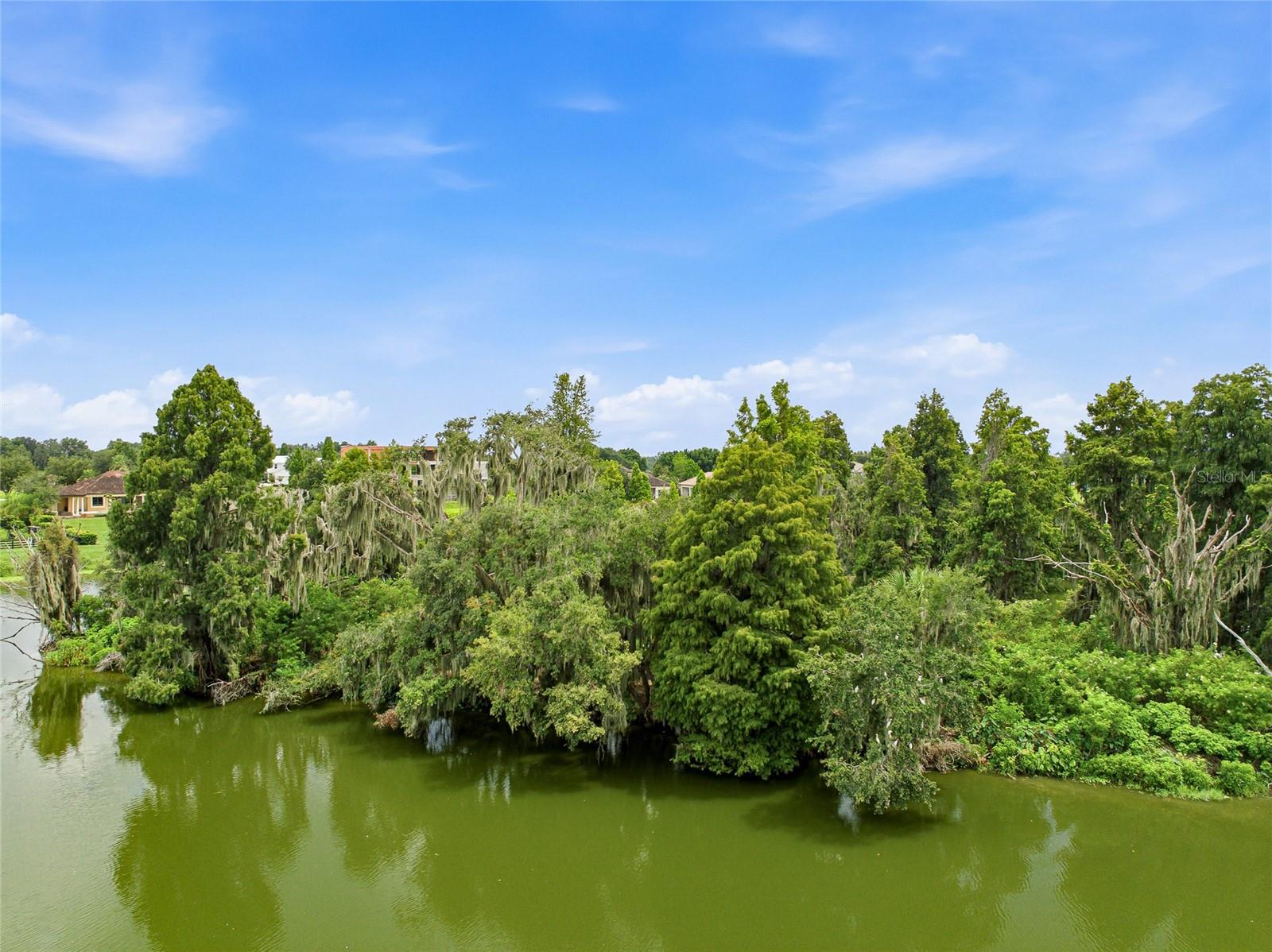 10710 OSPREY LANDING LOT 48 WAY — photo 52