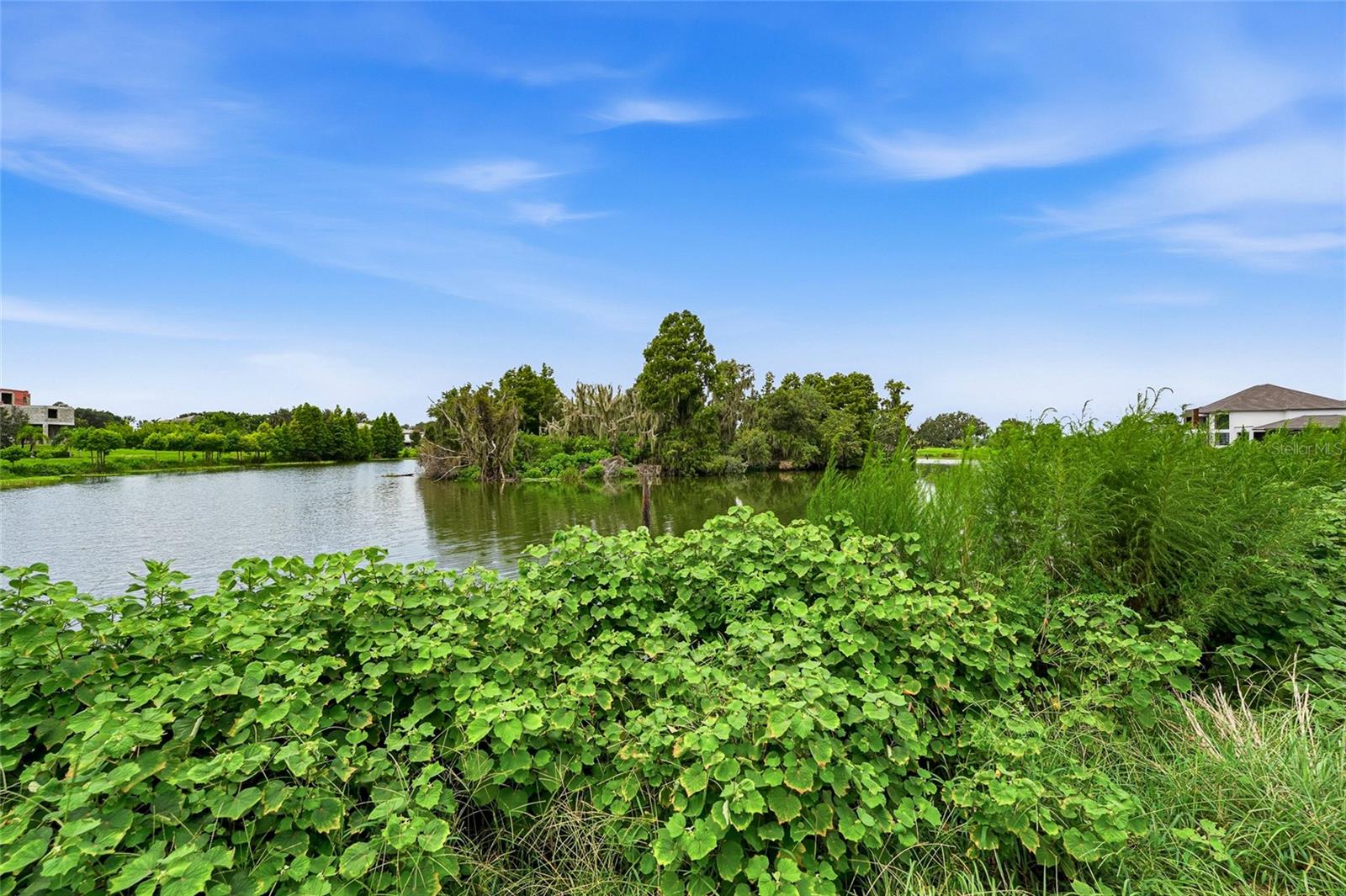 10710 OSPREY LANDING LOT 48 WAY — photo 45