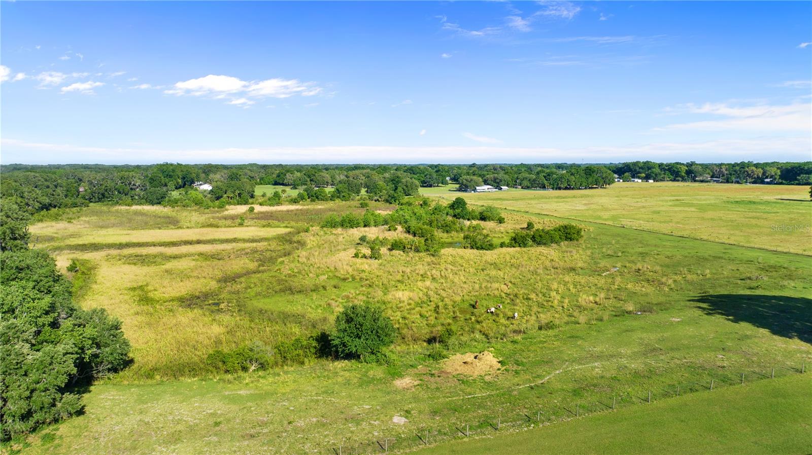 10710 OSPREY LANDING LOT 48 WAY — photo 59