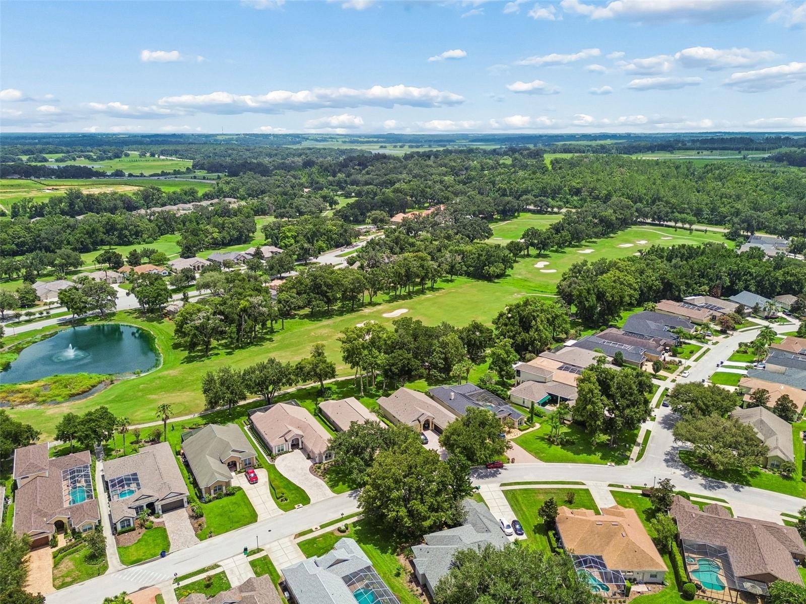 12442 FOREST HIGHLANDS DR — photo 53