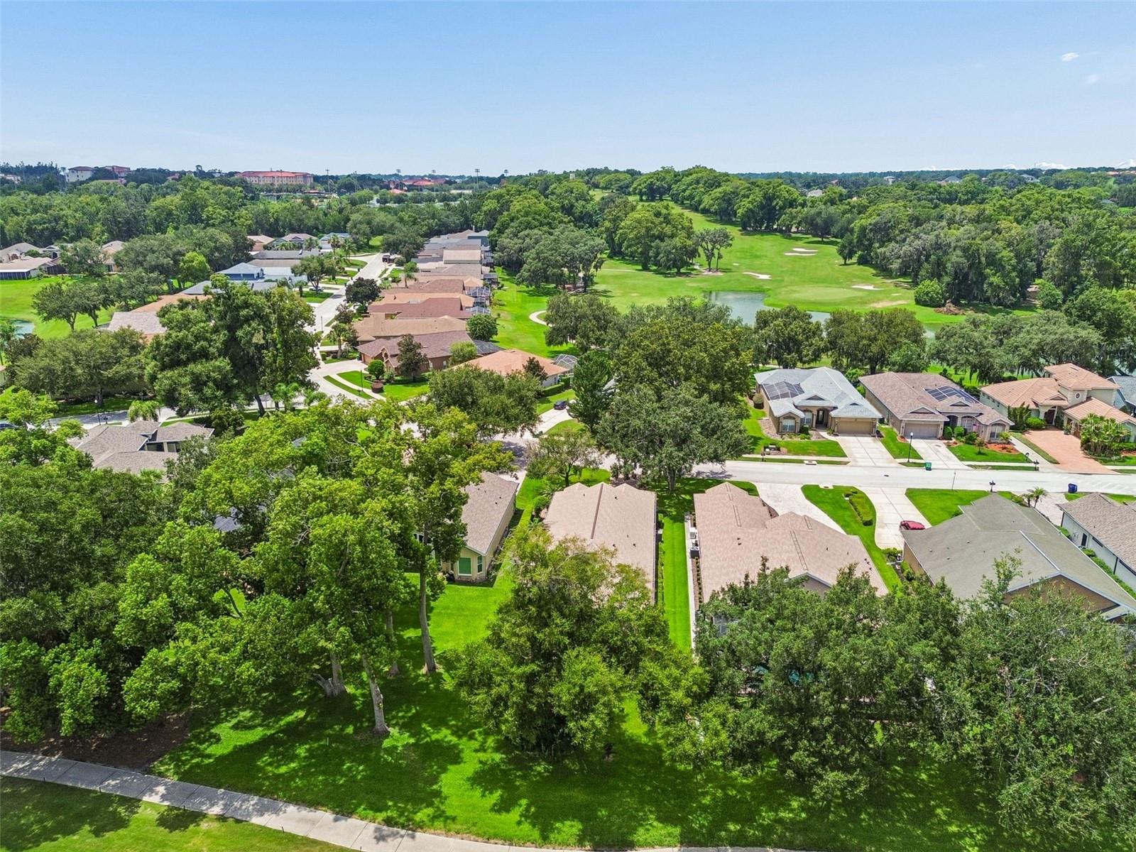 12442 FOREST HIGHLANDS DR — photo 57