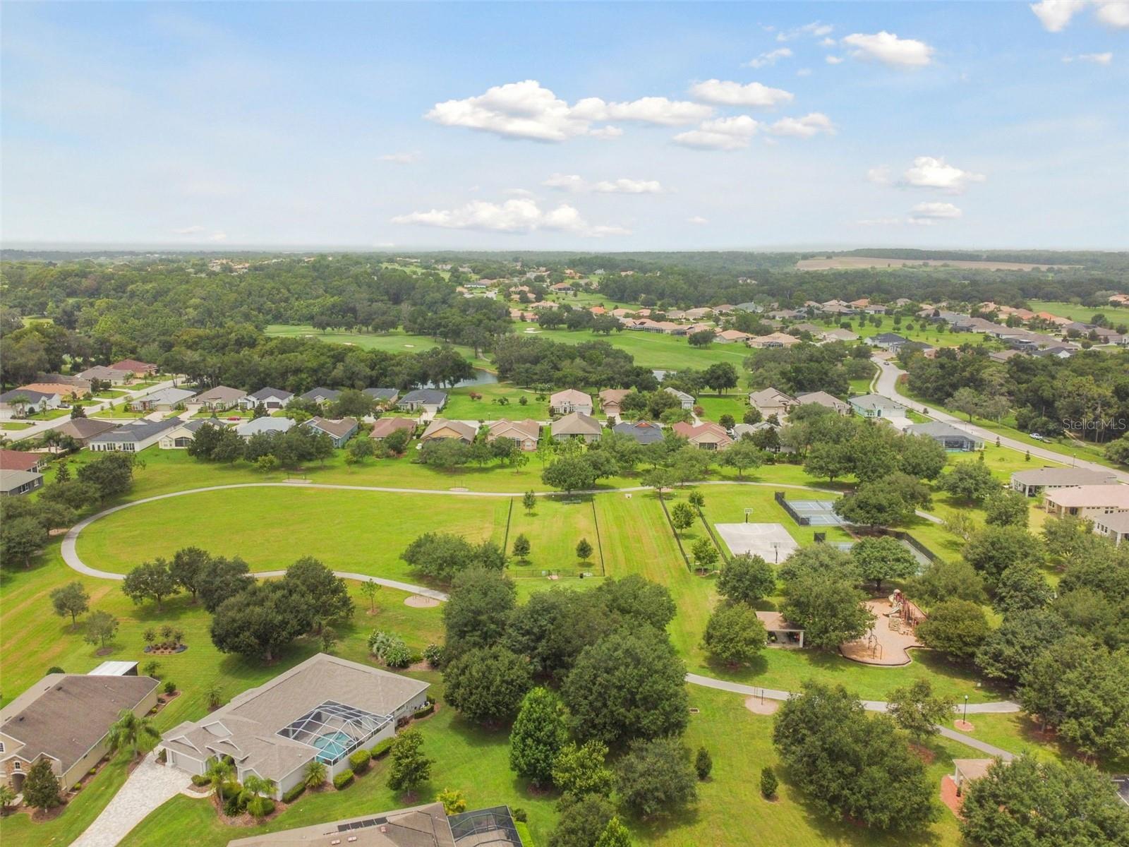 12442 FOREST HIGHLANDS DR — photo 60