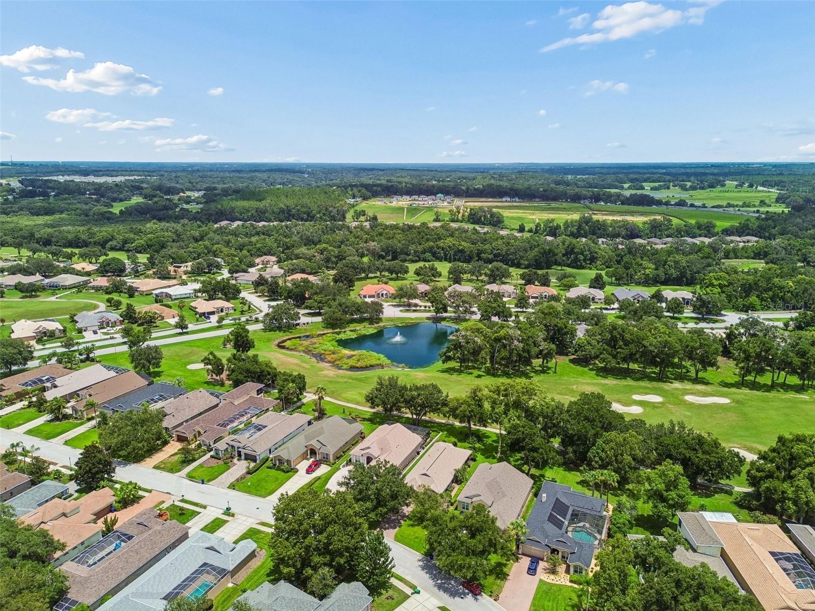 12442 FOREST HIGHLANDS DR — photo 55
