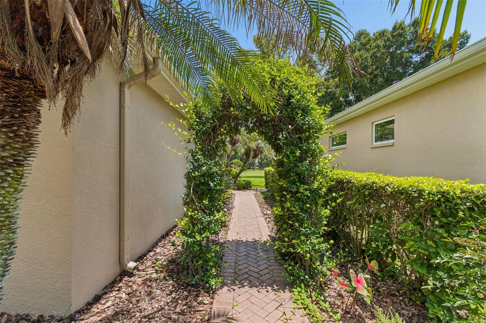 12442 FOREST HIGHLANDS DR — photo 7