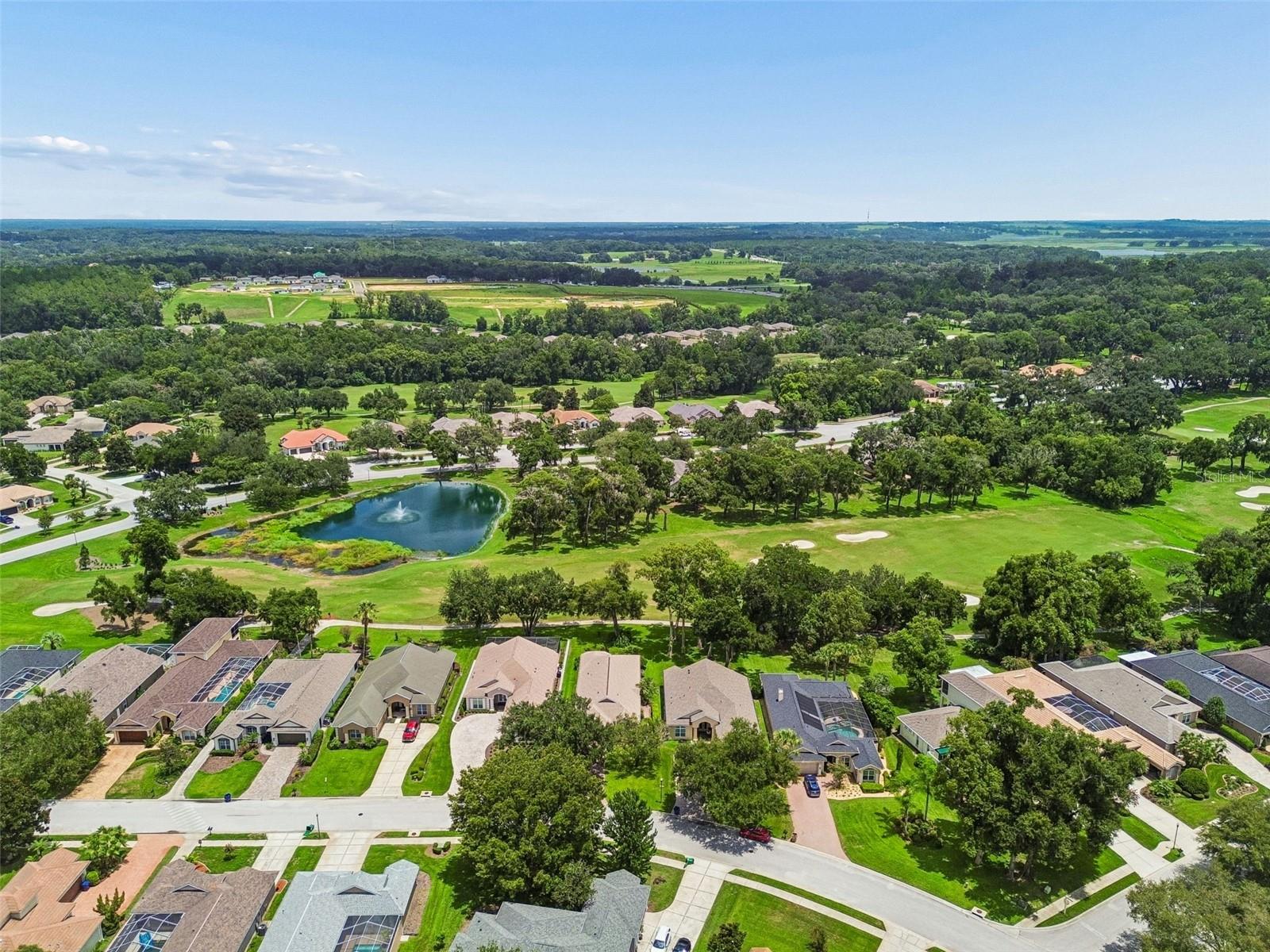 12442 FOREST HIGHLANDS DR — photo 54