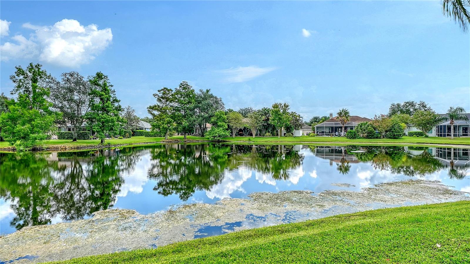 6521 SUNDEW CT — photo 41