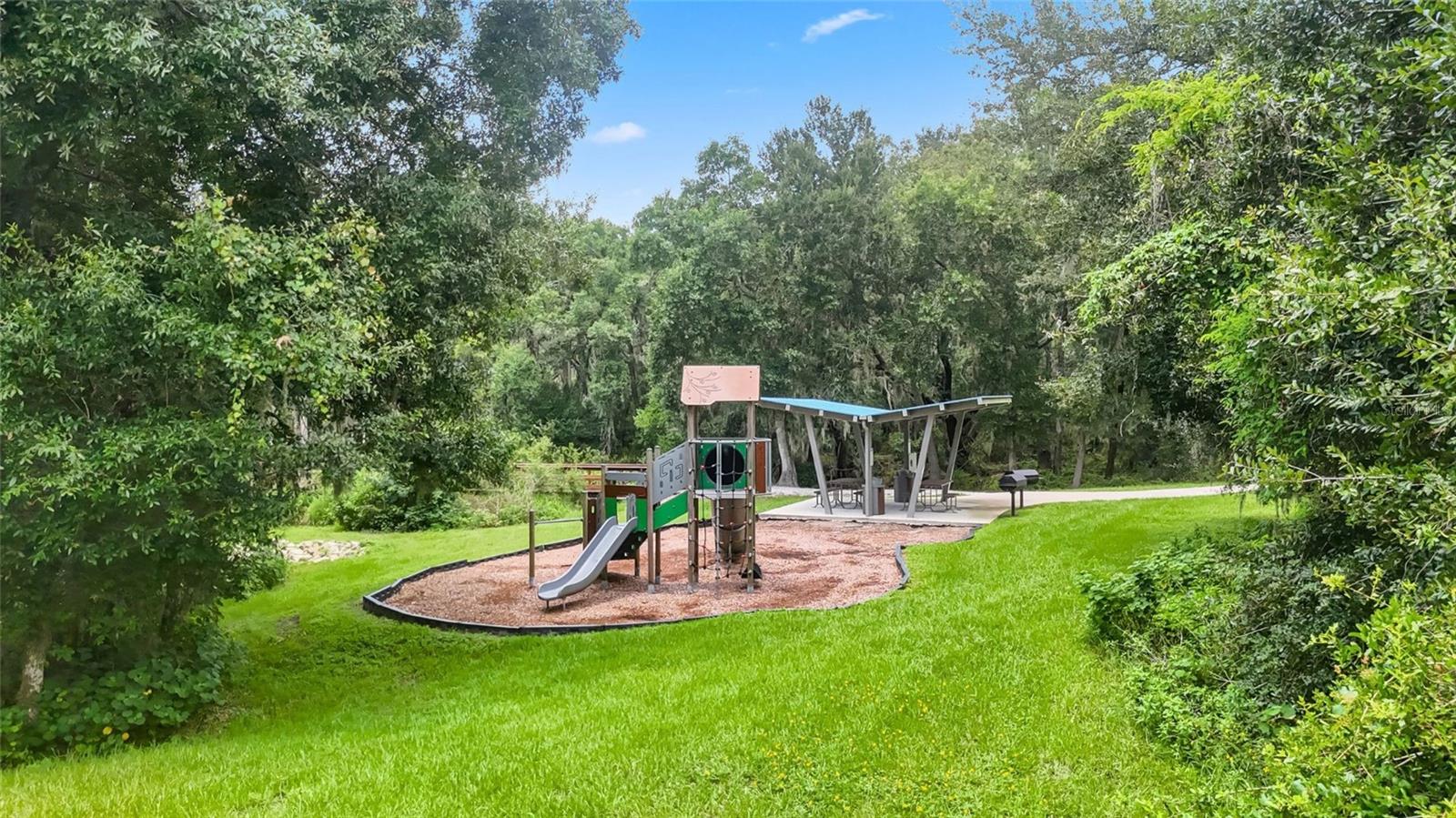 14140 DAMSELFLY DR — photo 59