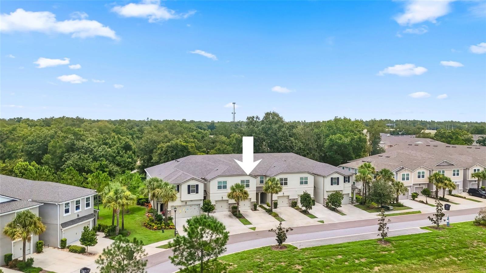 14140 DAMSELFLY DR — photo 51