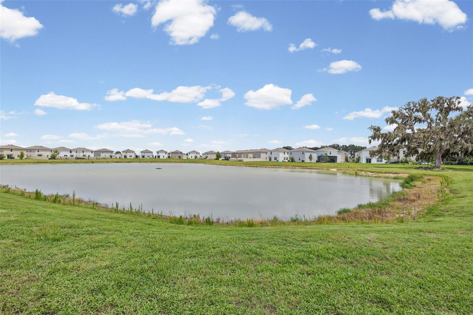 10914 PENNY GALE LOOP — photo 24