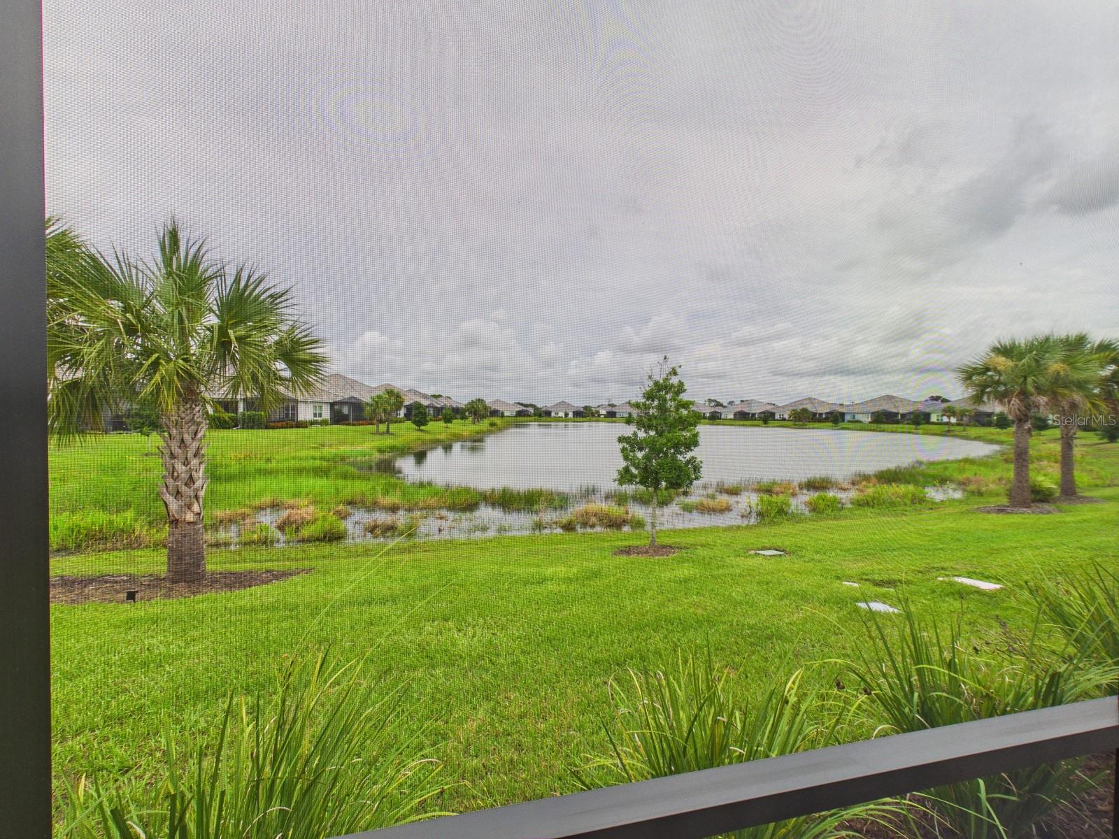 10012 LAKE WALES CIR — photo 61