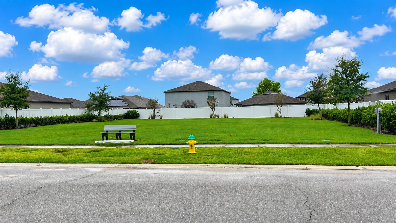 13524 WILD GINGER ST — photo 48