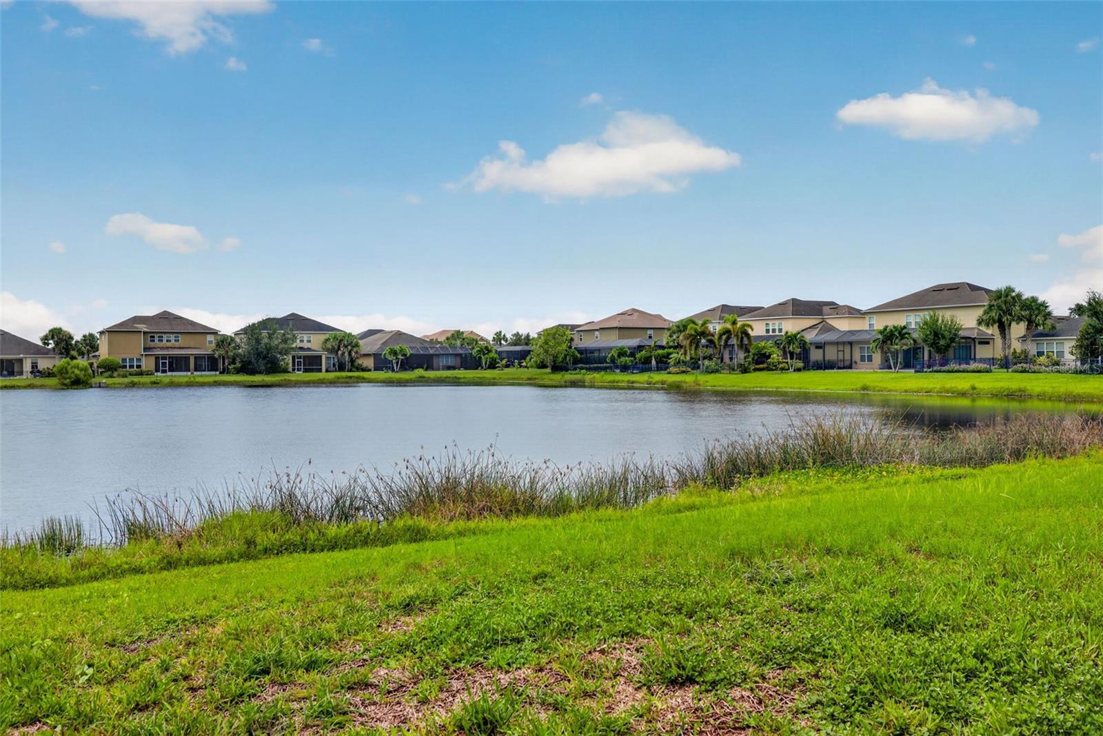 5934 ANISE DR — photo 45