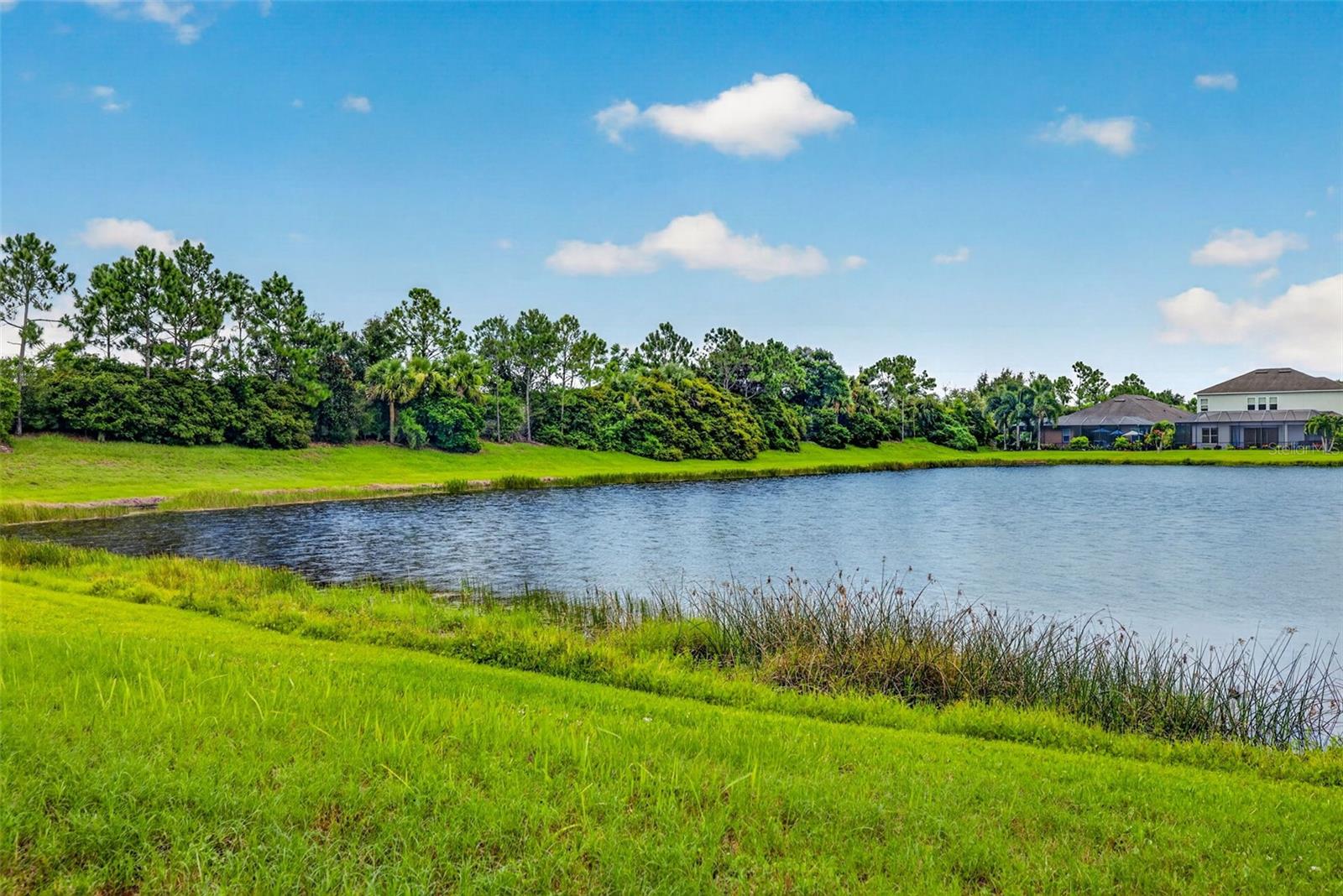 5934 ANISE DR — photo 46