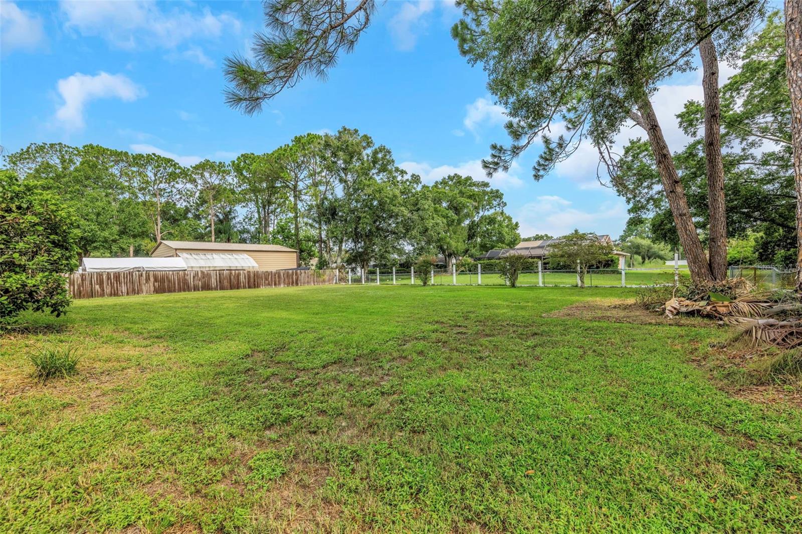 9237 AMAZON DR — photo 23