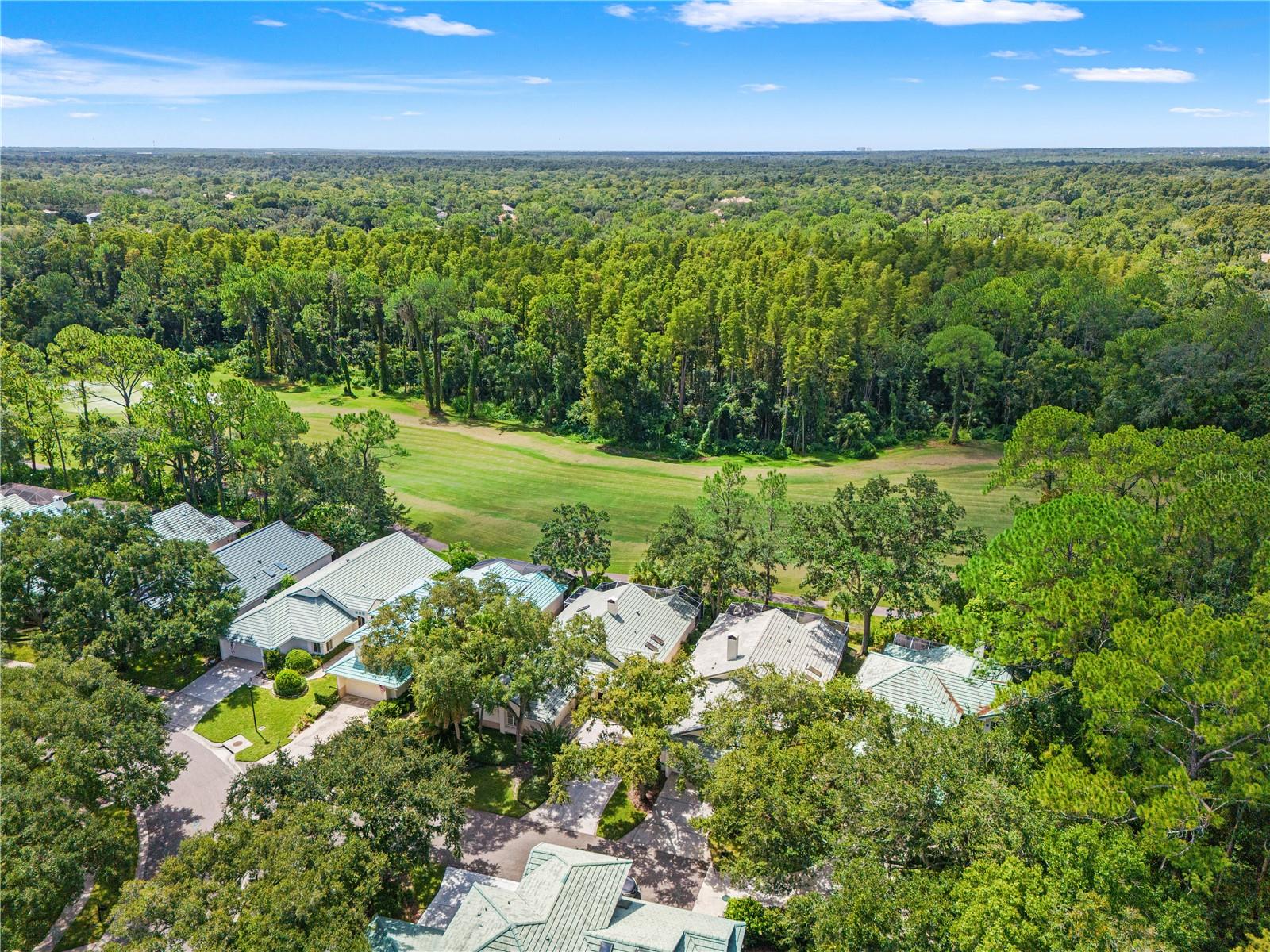 6005 FAIRWAY PALMS CT — photo 58
