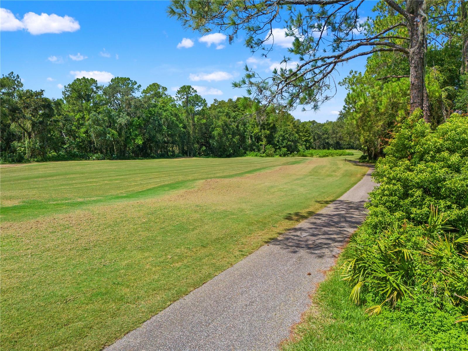 6005 FAIRWAY PALMS CT — photo 50