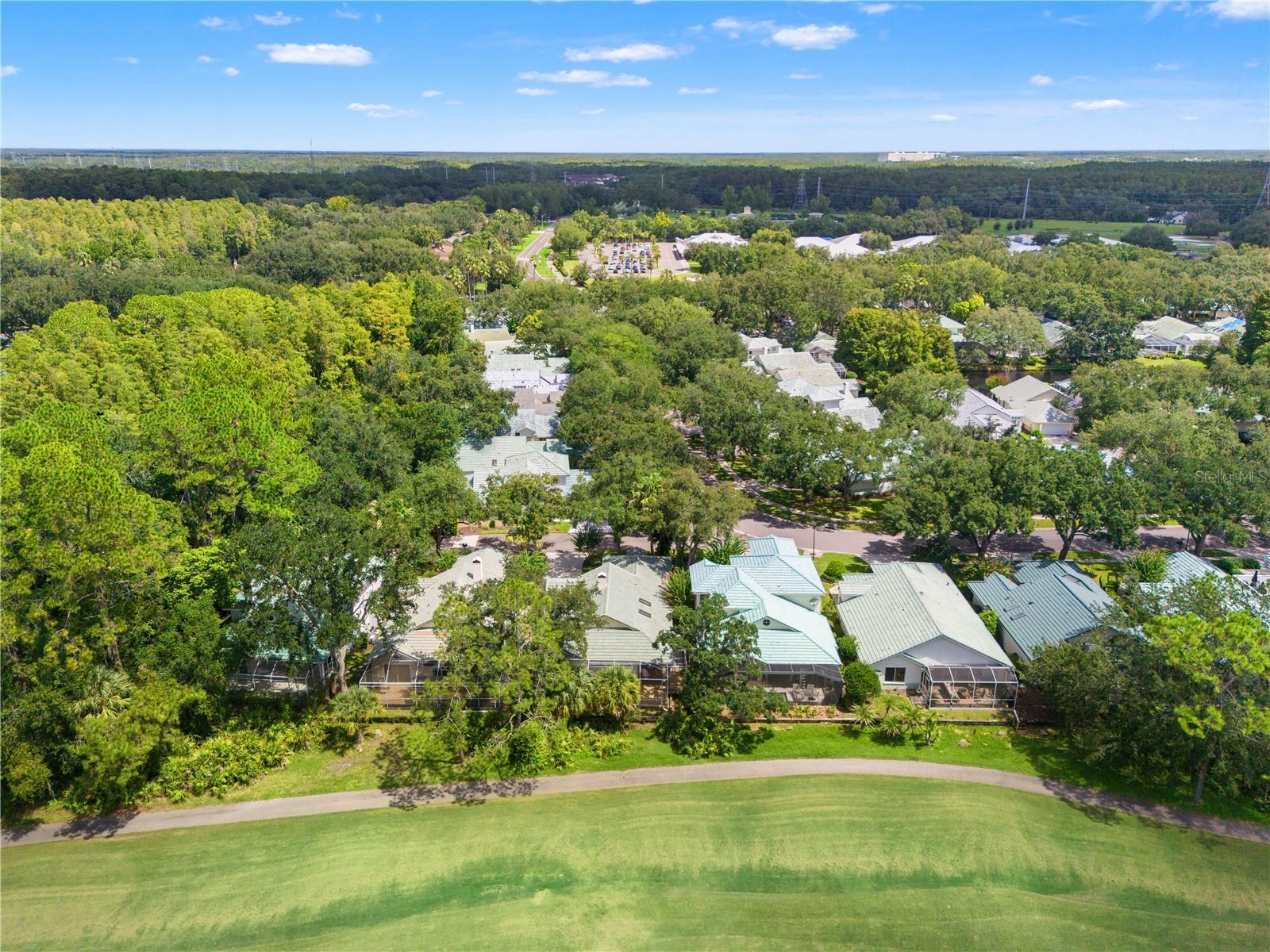 6005 FAIRWAY PALMS CT — photo 53