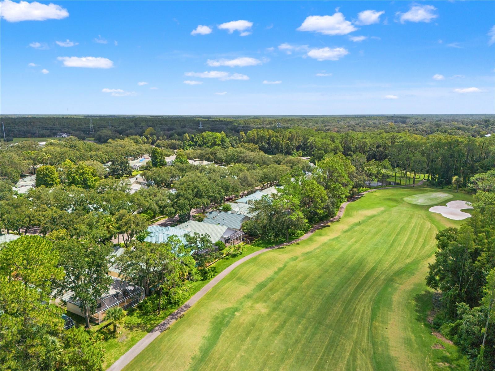 6005 FAIRWAY PALMS CT — photo 2