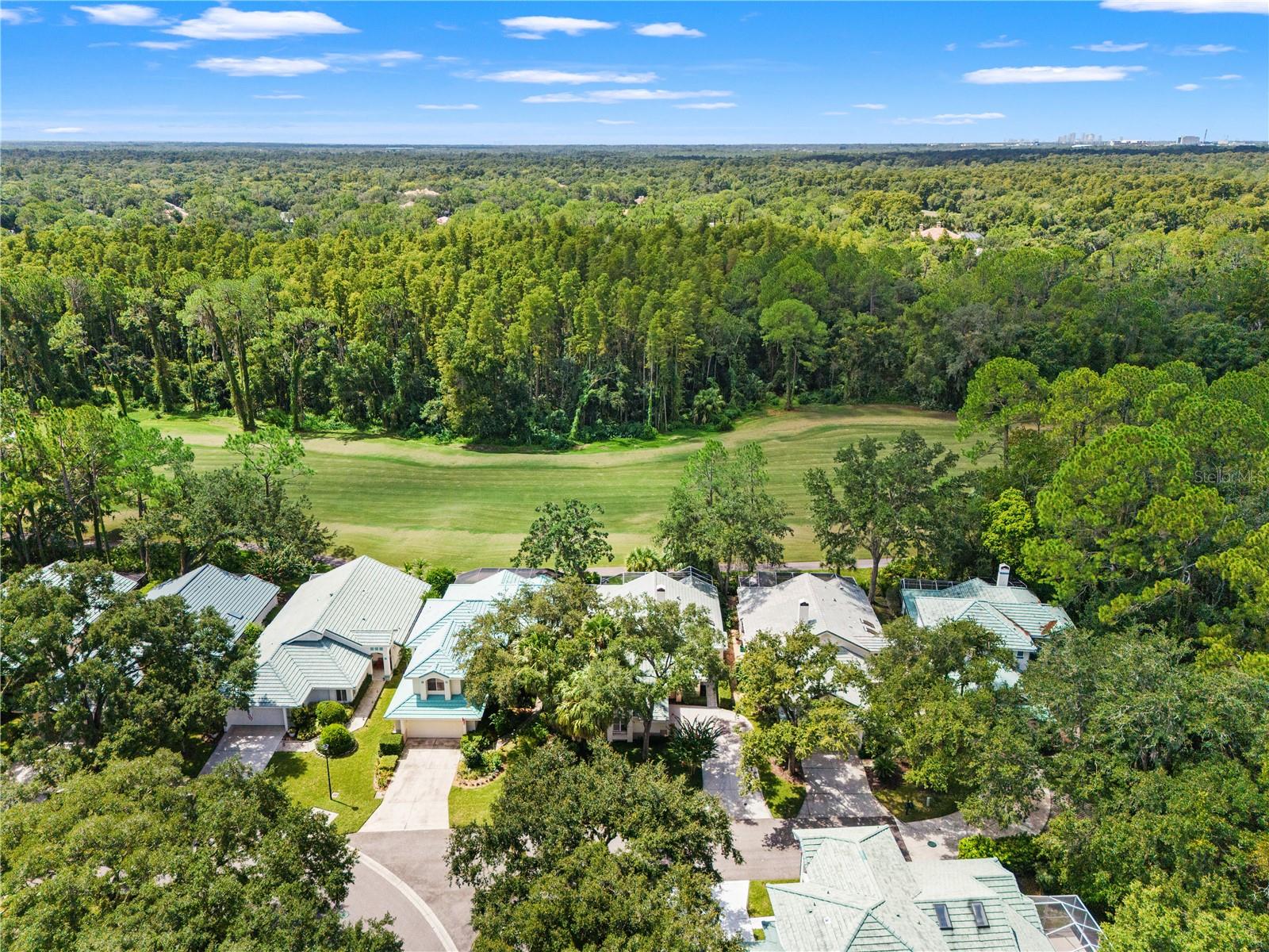 6005 FAIRWAY PALMS CT — photo 57