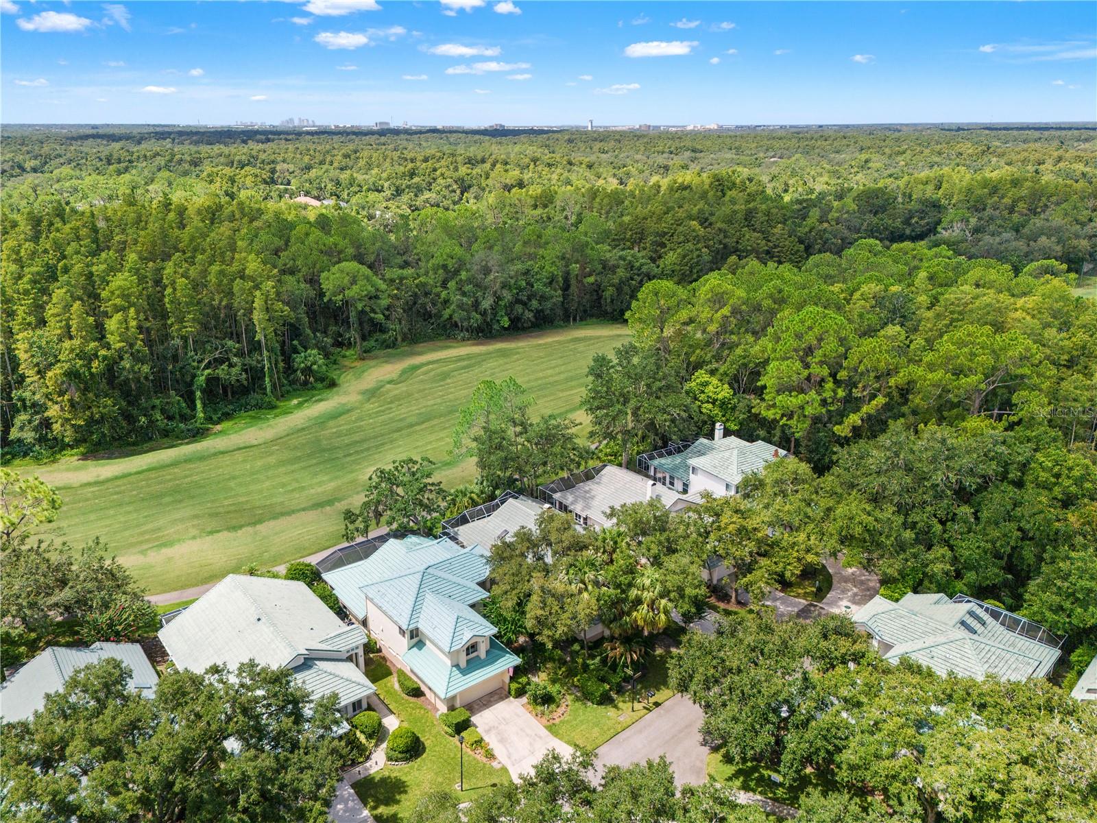 6005 FAIRWAY PALMS CT — photo 56