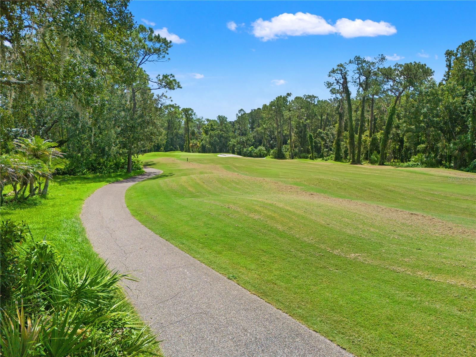 6005 FAIRWAY PALMS CT — photo 49