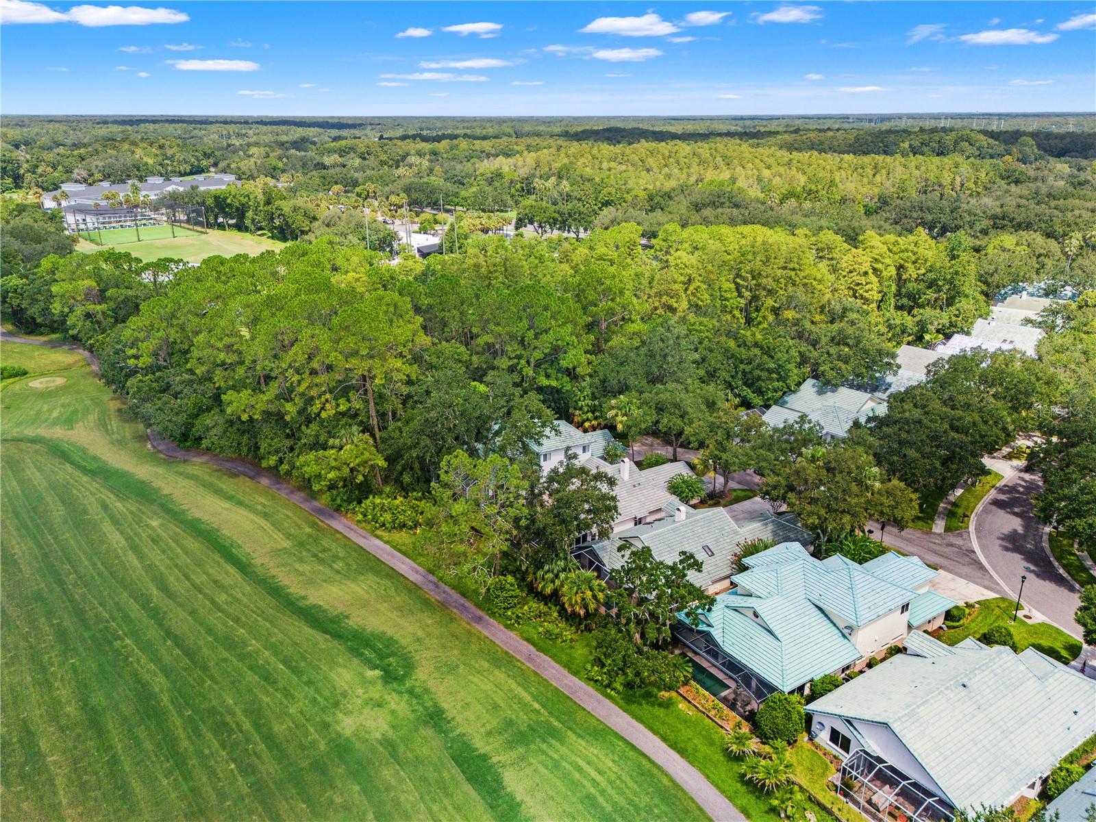 6005 FAIRWAY PALMS CT — photo 55