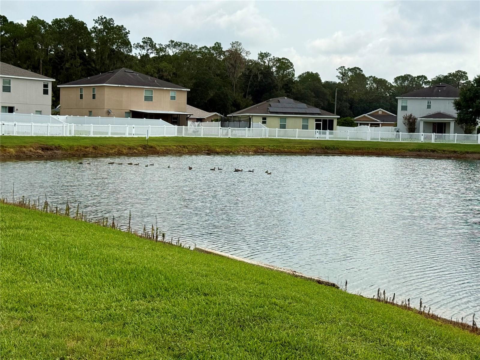 2616 WALDEN WOODS DR — photo 48