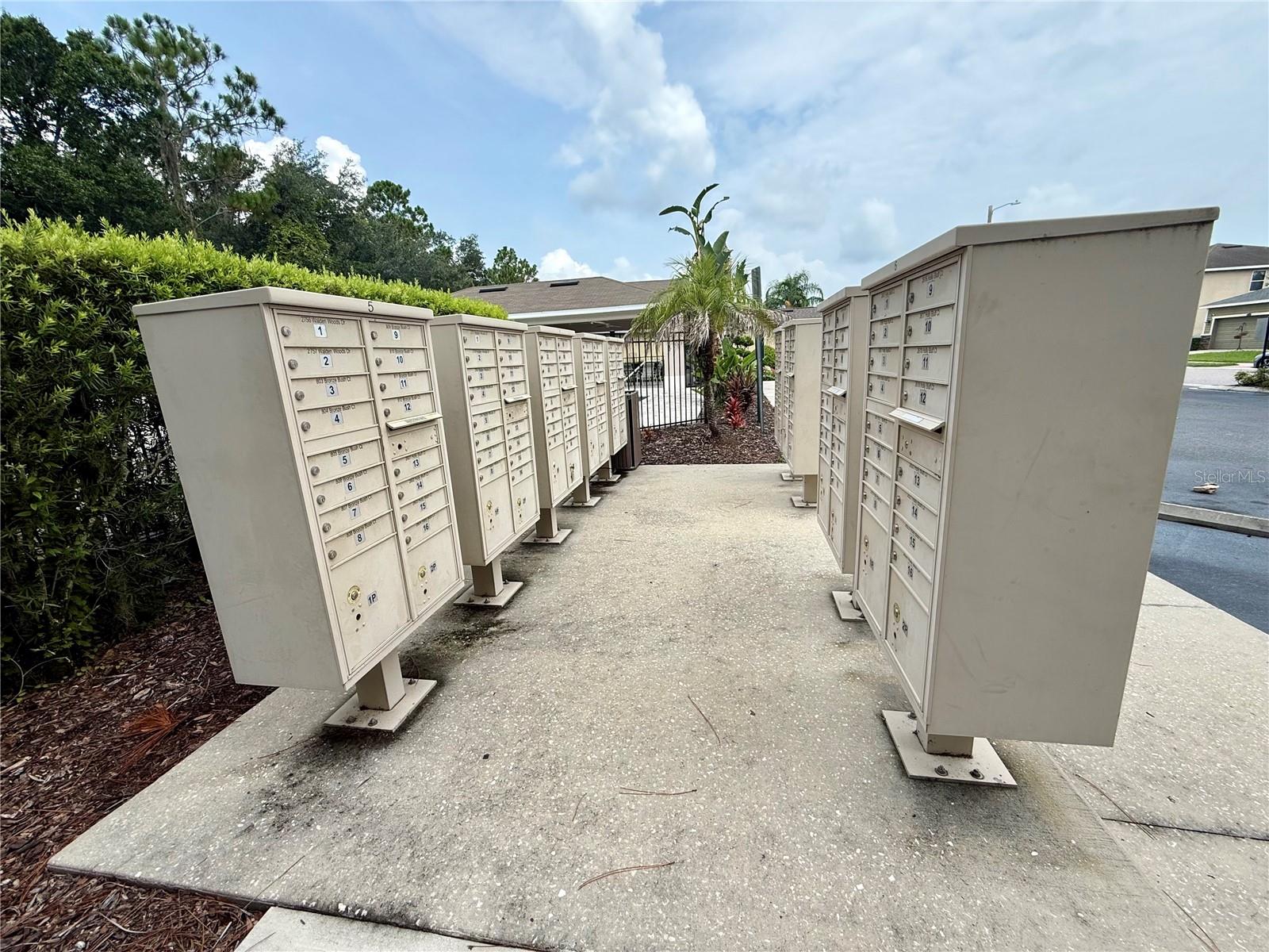 2616 WALDEN WOODS DR — photo 53