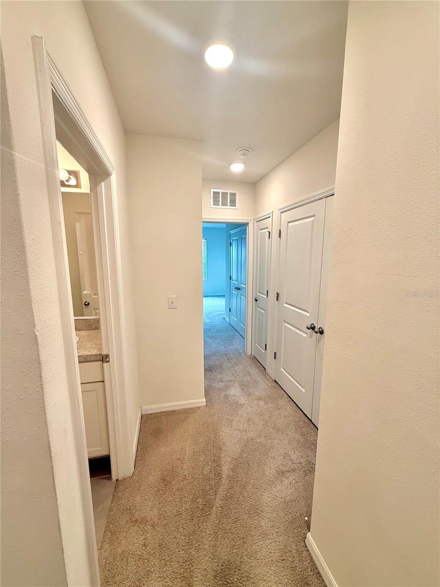 8771 FALLING BLUE PL — photo 24